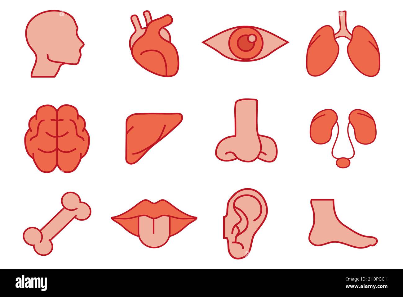 Human Organs Set. Internal organs. Hand drawn - brain, eye, lungs, heart, liver, nose, female reproductive system, leg, mouth, ear, bone. Human biolog Stock Vector