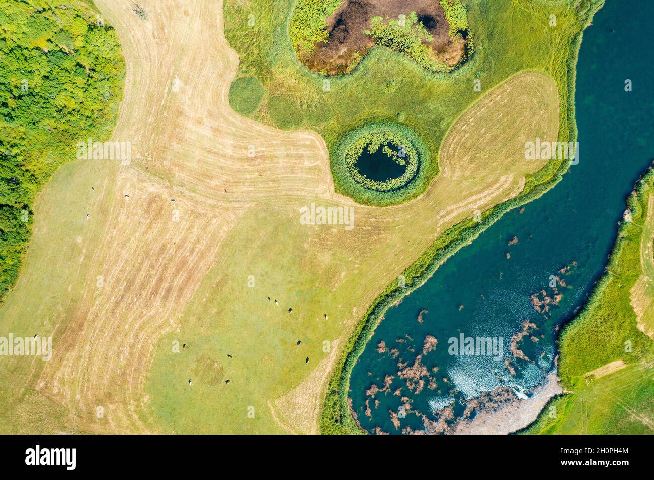 Aerial view of the circular lakes in reeds and grassland, Croatia Stock ...