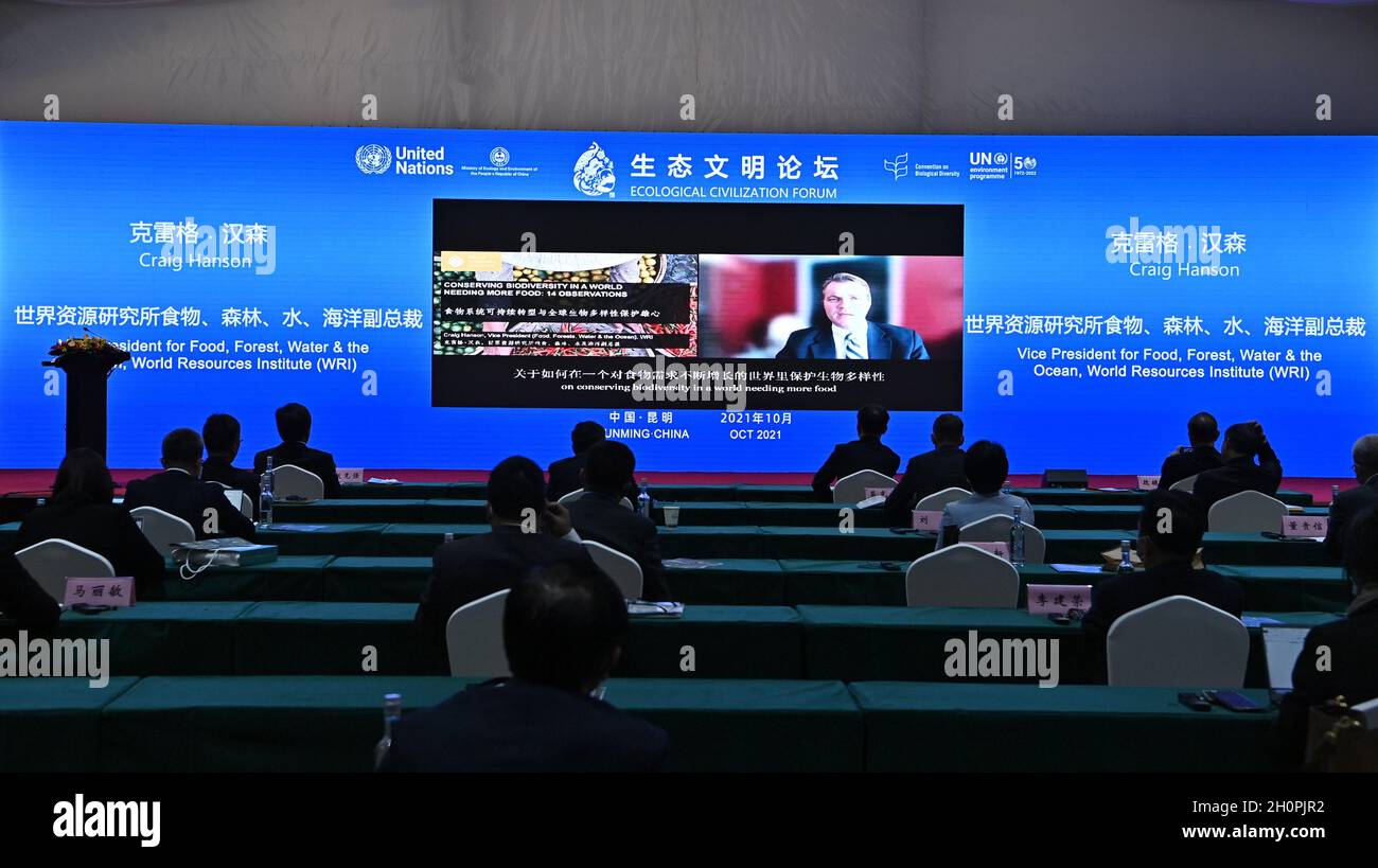 Kunming, China's Yunnan Province. 14th Oct, 2021. Craig Hanson, vice president for Food, Forest, Water & the Ocean of the World Resources Institute (WRI), delivers a speech via video during the Ecological Civilization Forum of the first part of the 15th meeting of the Conference of the Parties to the Convention on Biological Diversity (COP15) in Kunming, southwest China's Yunnan Province, on Oct. 14, 2021. Credit: Li Xin/Xinhua/Alamy Live News Stock Photo