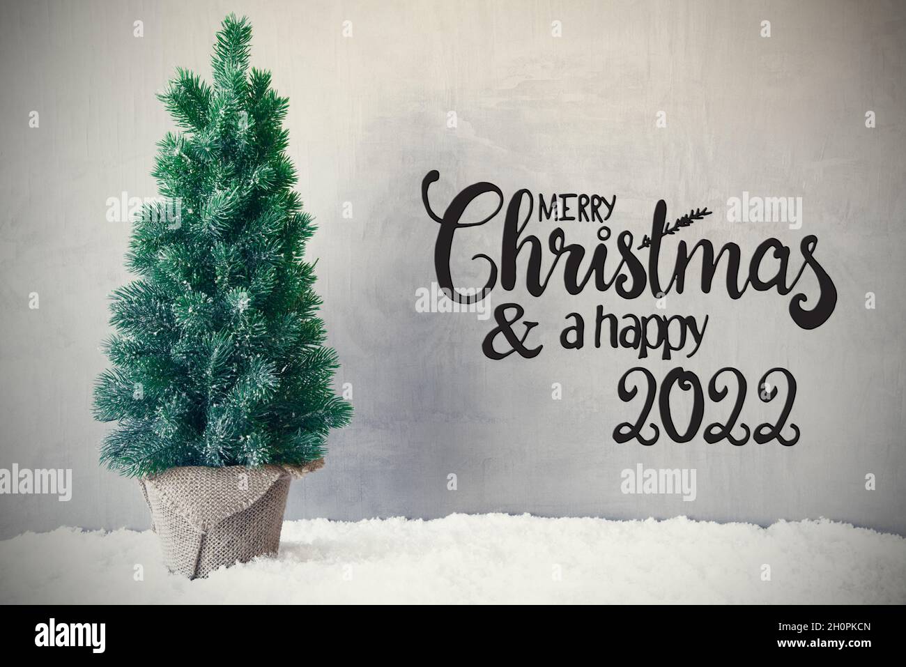 Christmas Tree, Snow, Grey Background, Merry Christmas And A Happy 2022 Stock Photo - Alamy