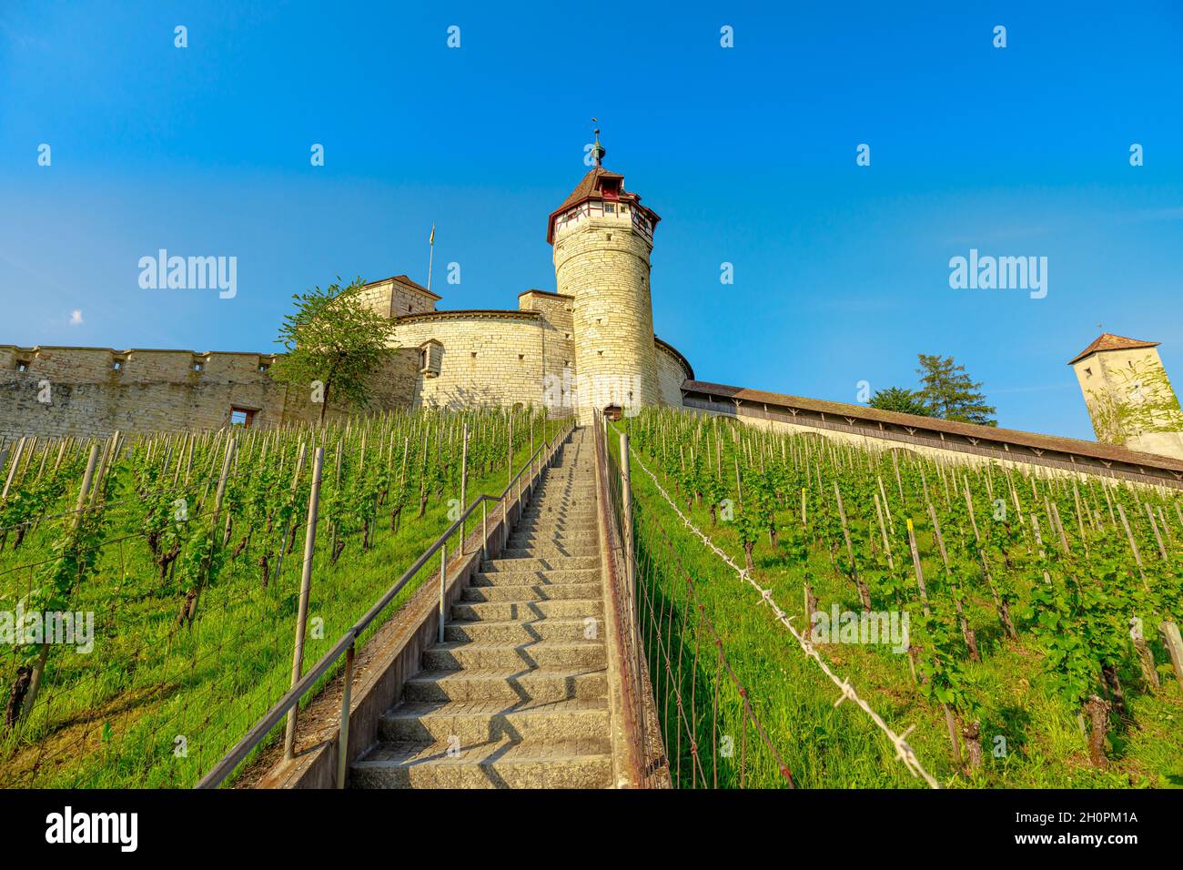Munot fortress with its vineyards in Schaffhausen Canton. Panoramic terraced vineyards of Schaffhausen town. Located on the upper Rhine river by Lake Stock Photo