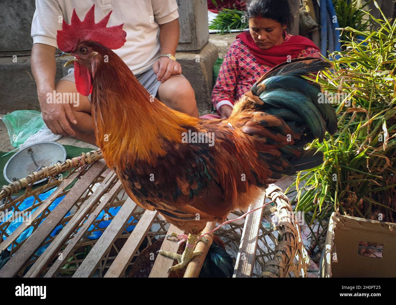 Tenue Au Banque D Images Vectorielles Alamy