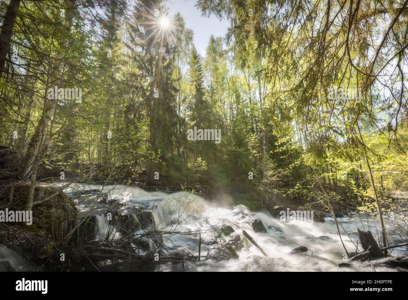 waterfall, sun flares and trees in an forest landscape Stock Photo