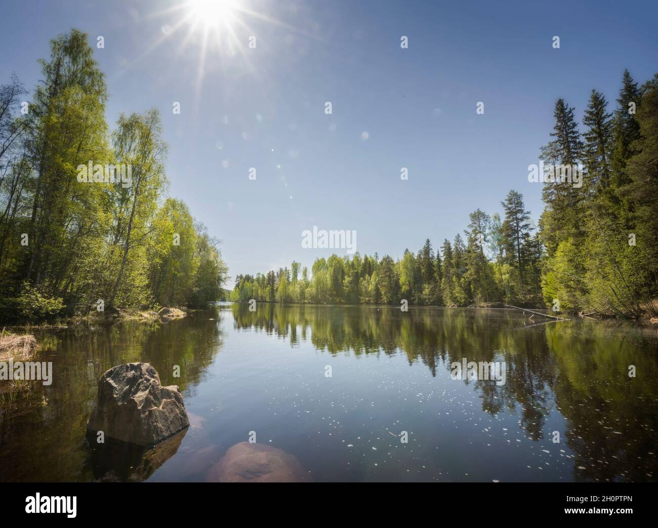 river, boulder and trees in an forest landscape Stock Photo