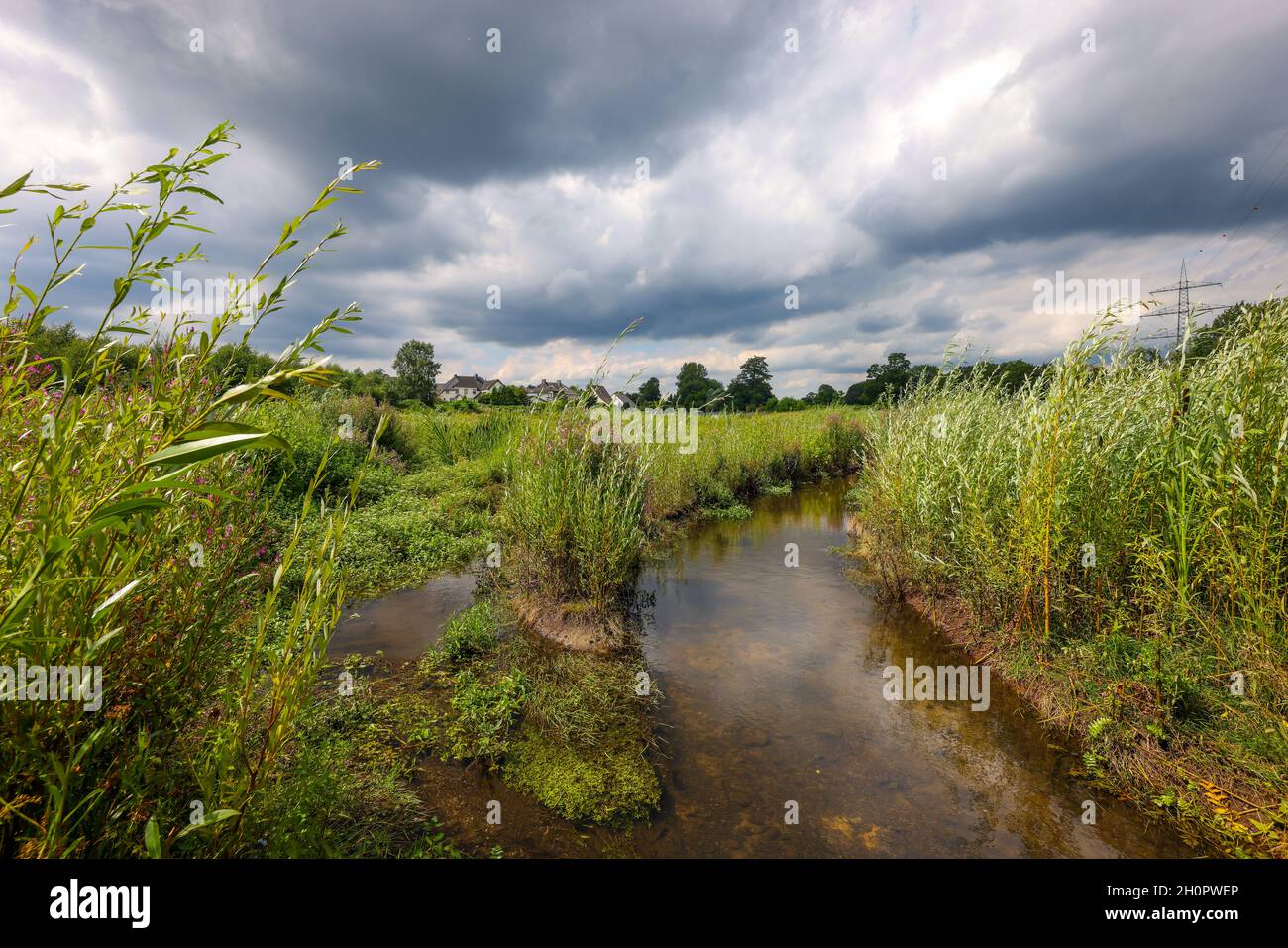 Bottrop, North Rhine-Westphalia, Germany - Renaturalized Boye, the tributary of the Emscher, has been transformed into a near-natural watercourse, flo Stock Photo