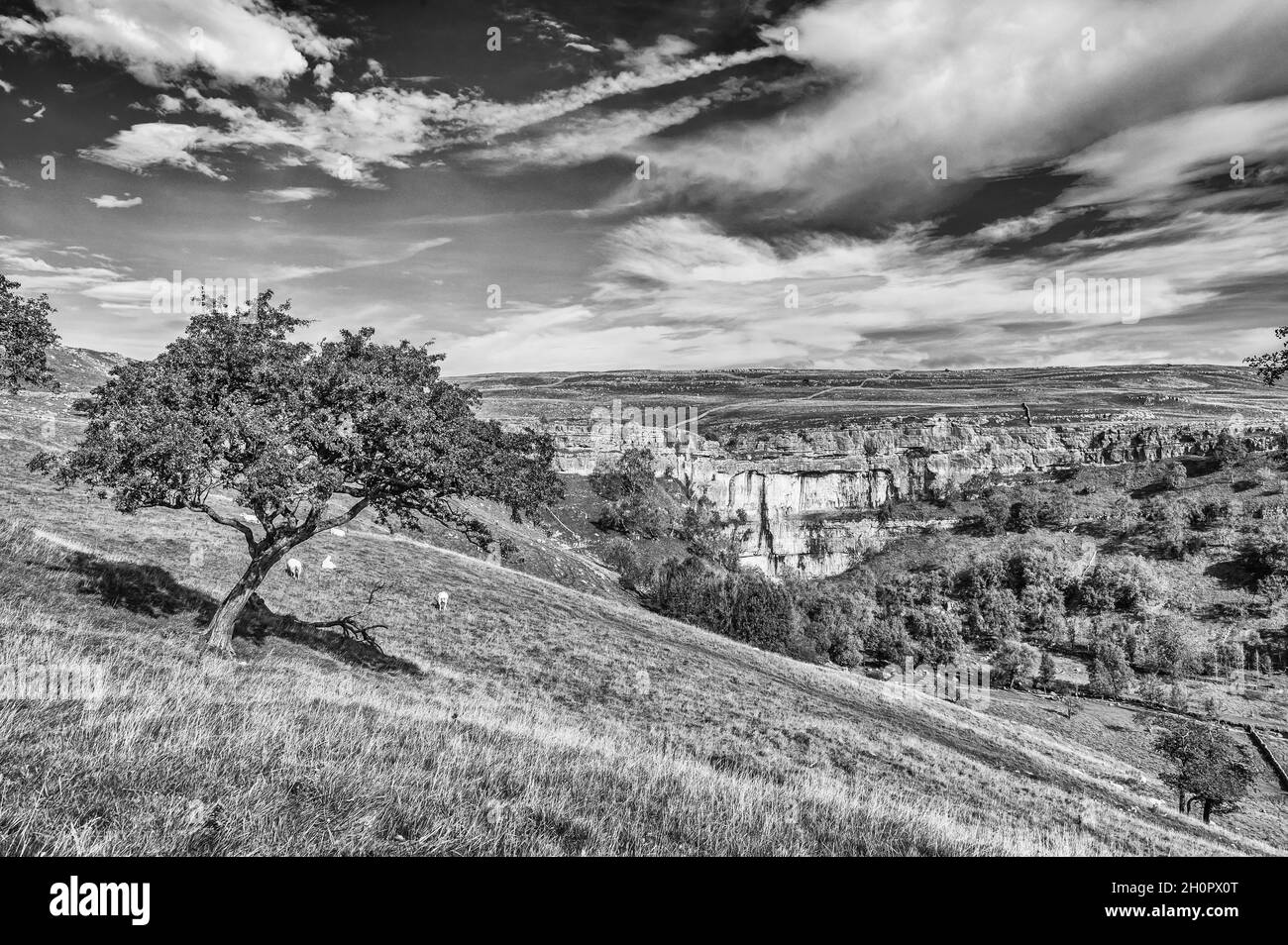 This Autumn scene is of the famous Malham Cove spectacular geological