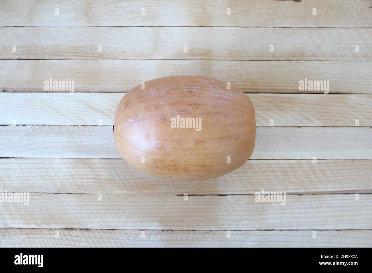 Small round pumpkin on the wooden background Stock Photo