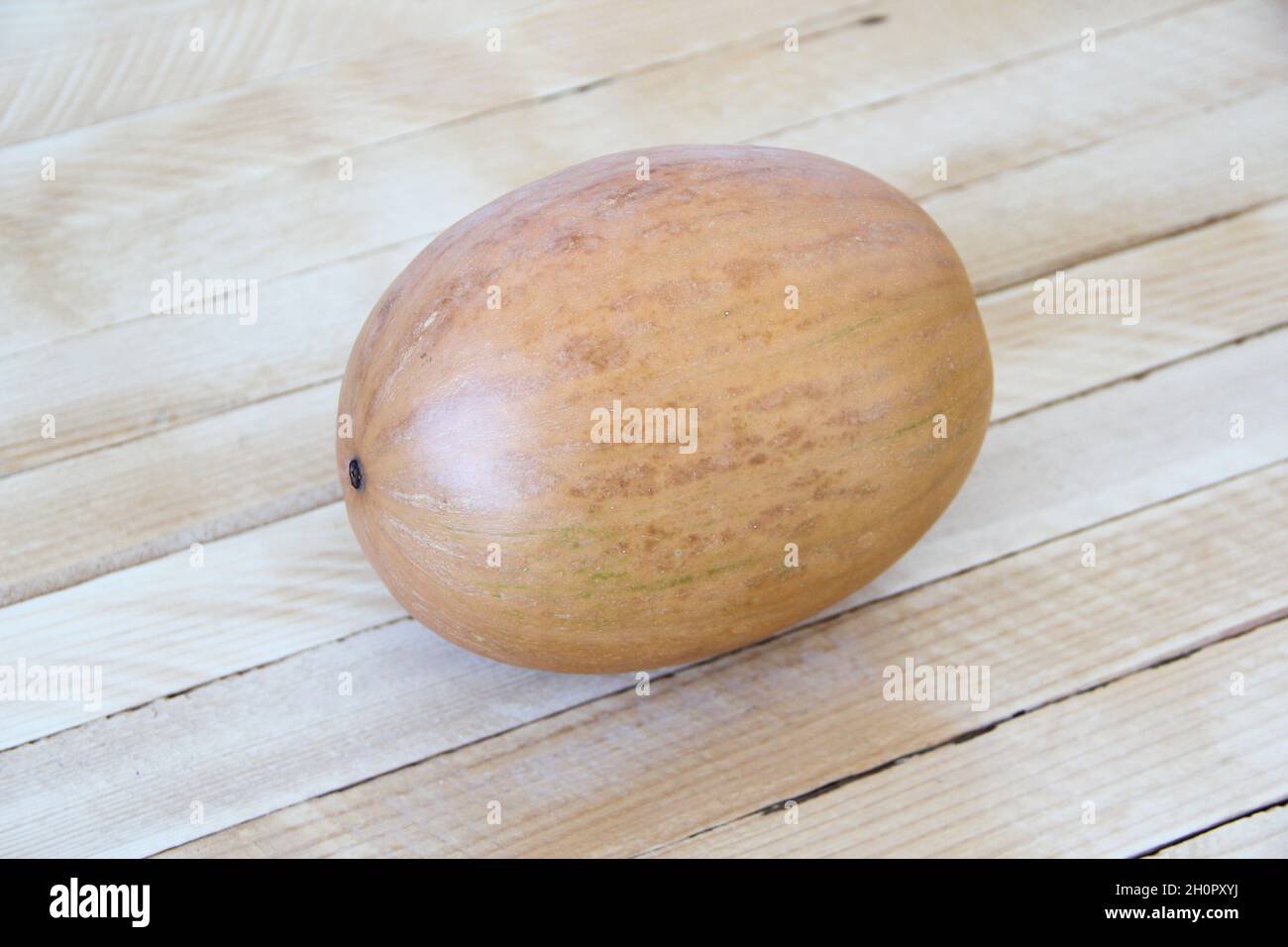 Small round pumpkin on the wooden background Stock Photo