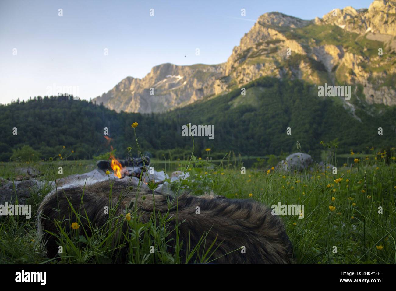 Beautiful view of Trnovacko lake with a mountain in  Montenegro Stock Photo