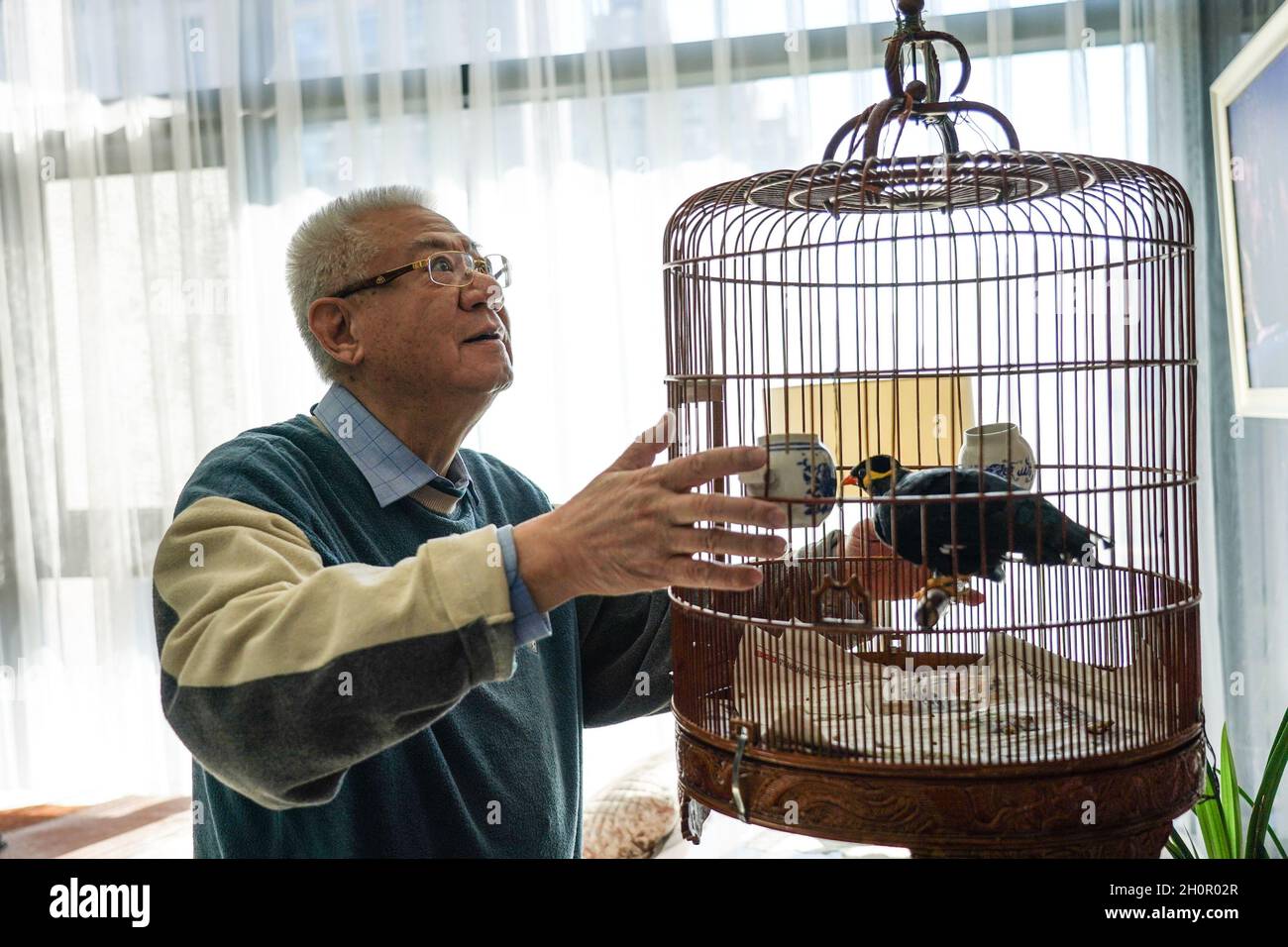 Bamboo Bird Cage From Peking - Ca 80 Yrs Old Bamboo Bird Cage From Peking - Ca 80 Yrs Old