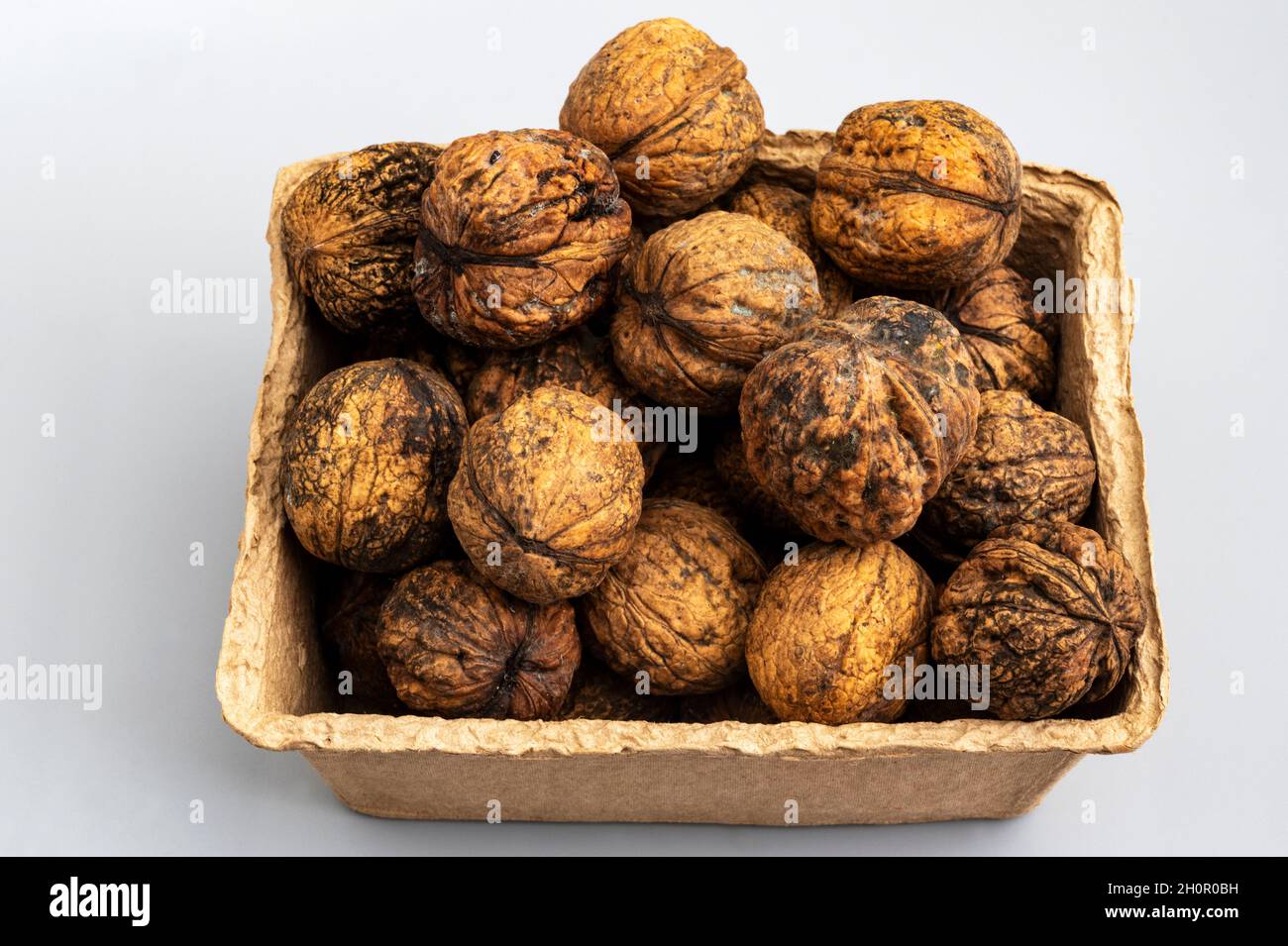 English garden fresh walnuts Stock Photo