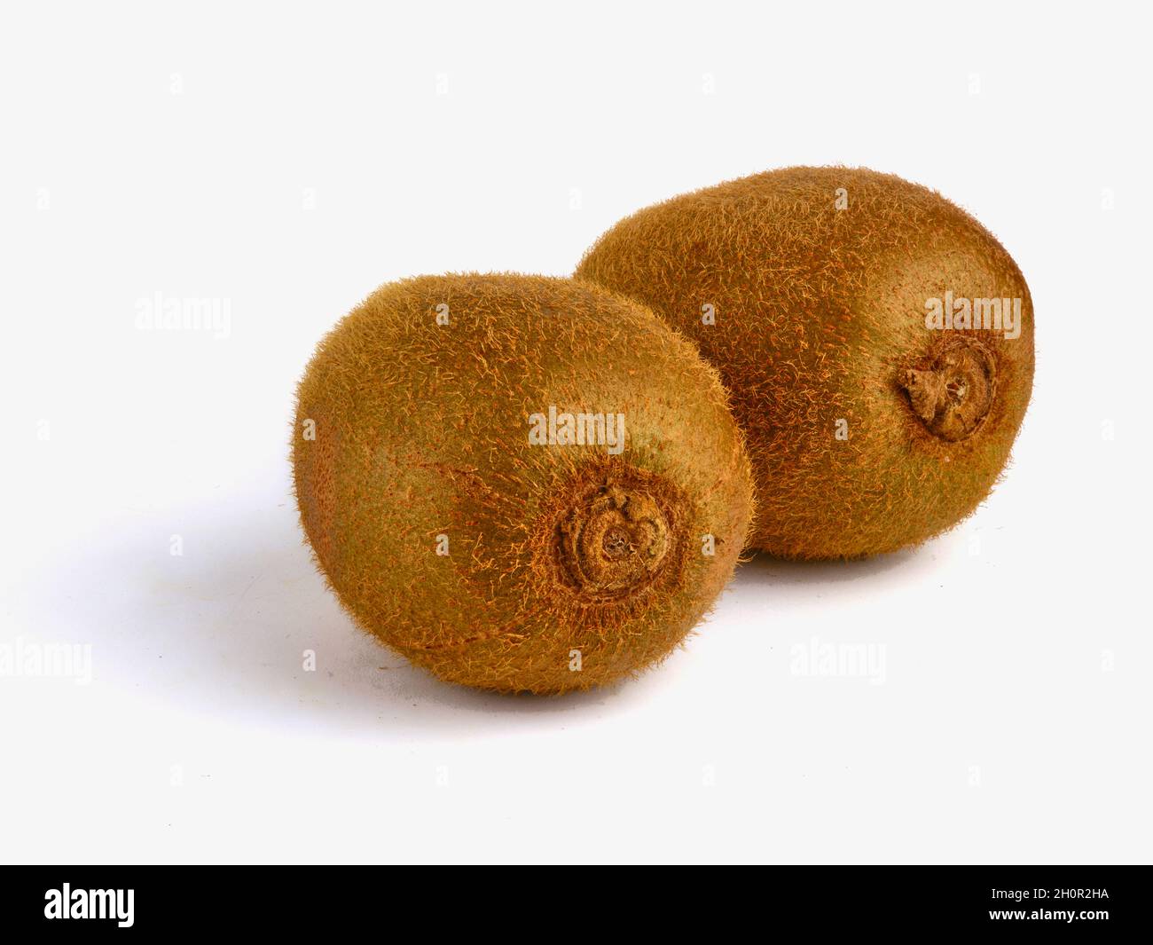 Kiwi skin close up hi-res stock photography and images - Alamy