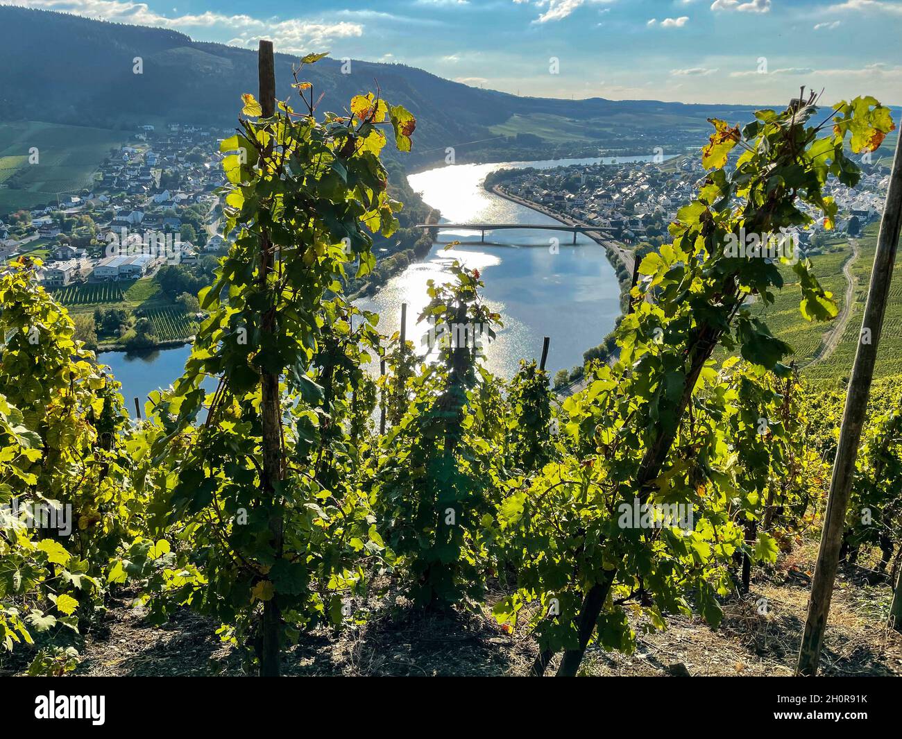 DEU, Deutschland, Rheinland-Pfalz, Mehring, 08.10.2021: Blick auf Mehring an der Mosel im Landkreis Trier-Saarburg in Rheinland-Pfalz Stock Photo