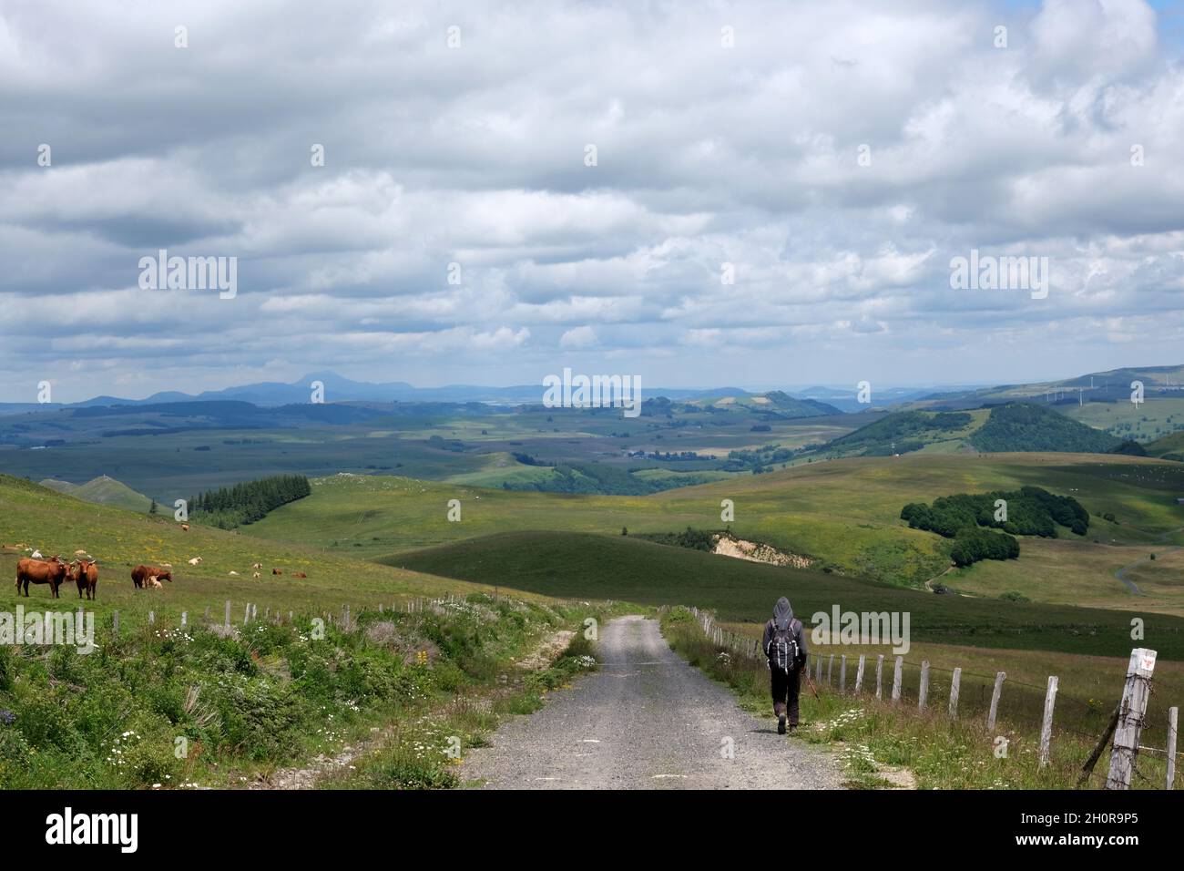 Landscape of the Cezallier Plateau in Anzat le Luguet (central southern France). In the background, the Cantal mountain range Stock Photo