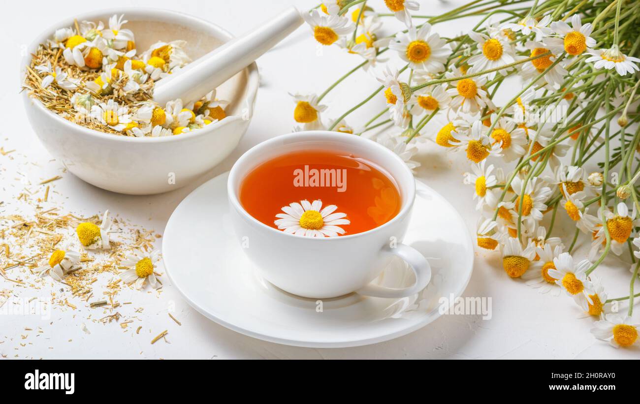 White cup of hot chamomile tea, a mortar with dry daisies buds and a ...