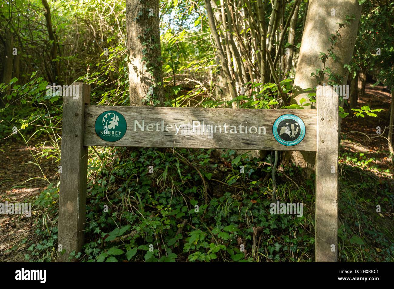 Sign at Netley Plantation, a nature reserve in Shere Woodlands, managed by Surrey Wildlife Trust, England, UK Stock Photo
