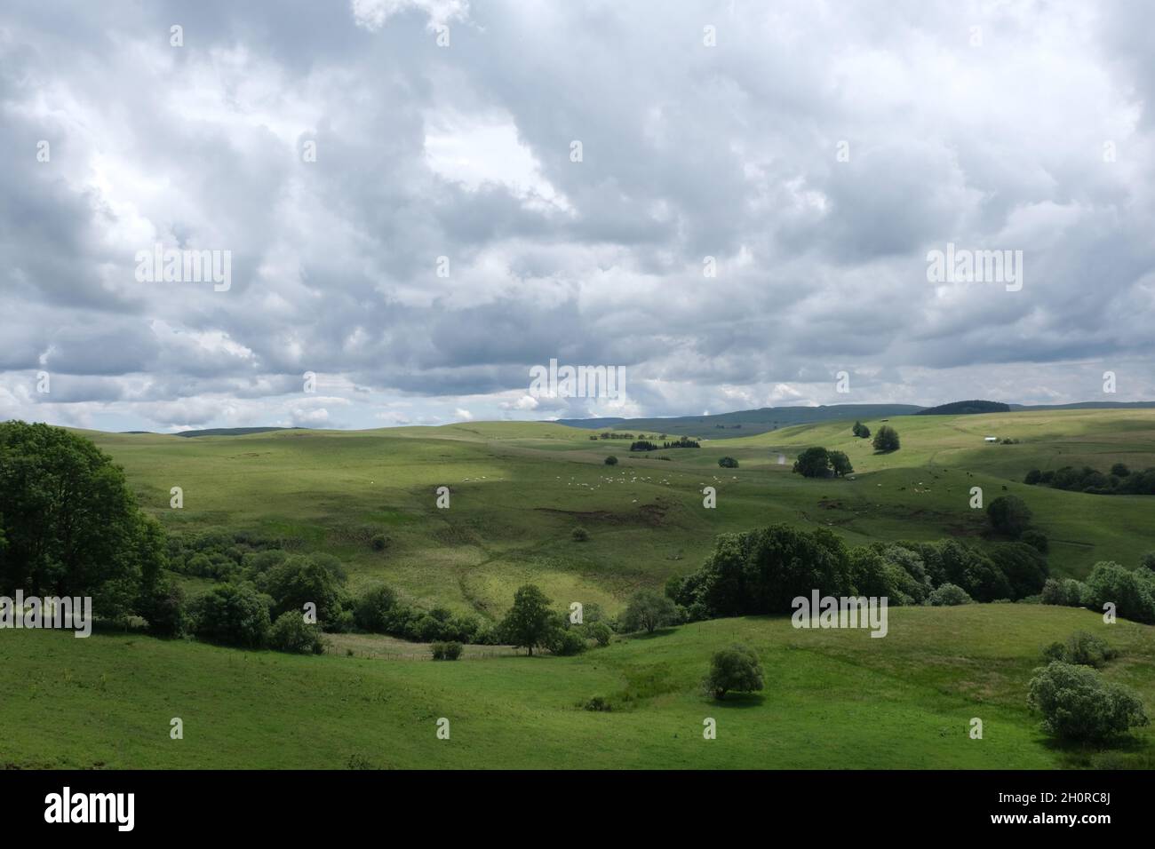 Landscape of the Cezallier Plateau in Egliseneuve d'Entraigues (central southern France) Stock Photo