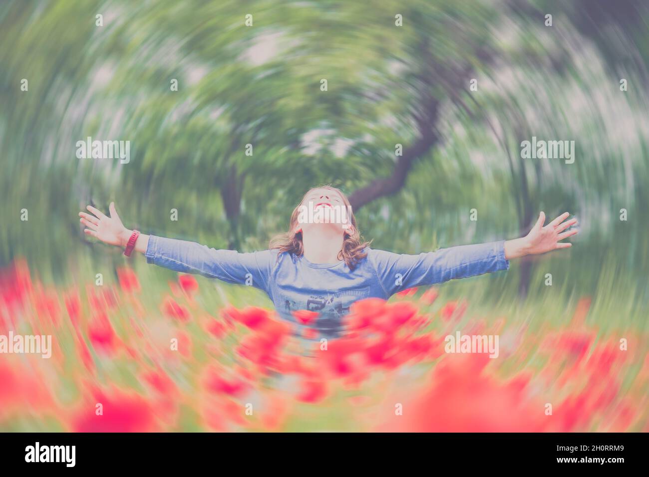 Boys in wildflower field hi-res stock photography and images - Alamy