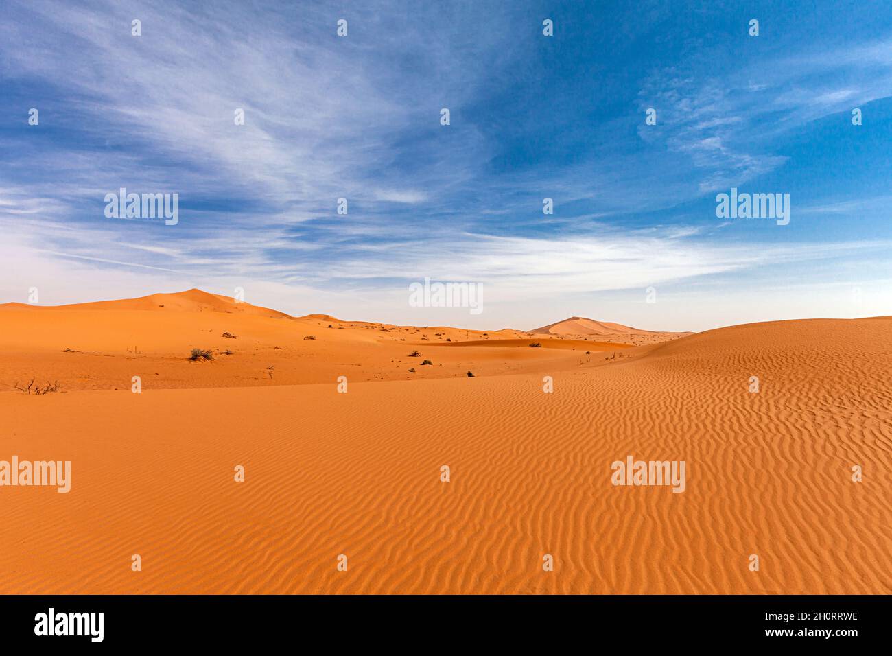 Sand dunes in the desert, Saudi Arabia Stock Photo