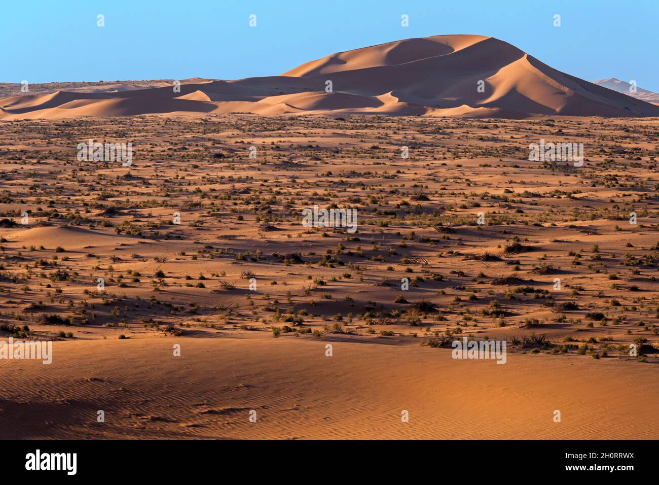 Sand dunes in the desert, Saudi Arabia Stock Photo