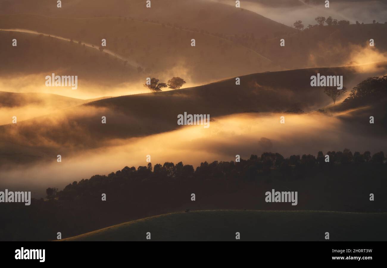 Mist over rolling landscape at sunrise, Australia Stock Photo