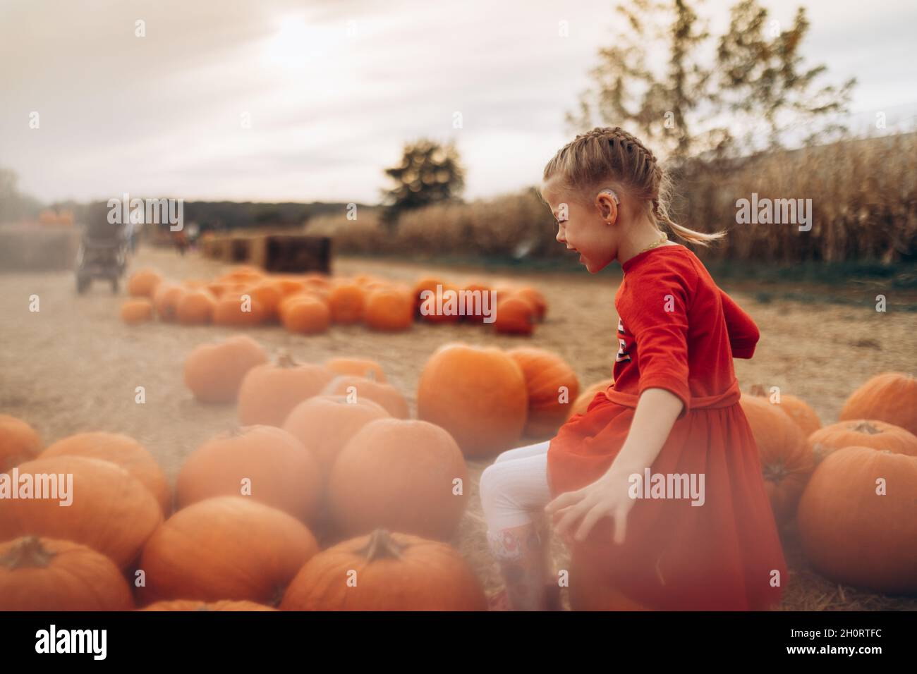 Happy little girl surrounded by large pumpkins Stock Photo - Alamy
