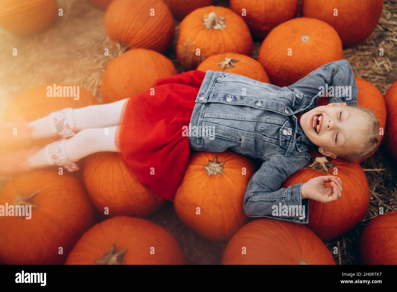 Happy girl lying on a pile of large pumpkins in the field Stock Photo ...