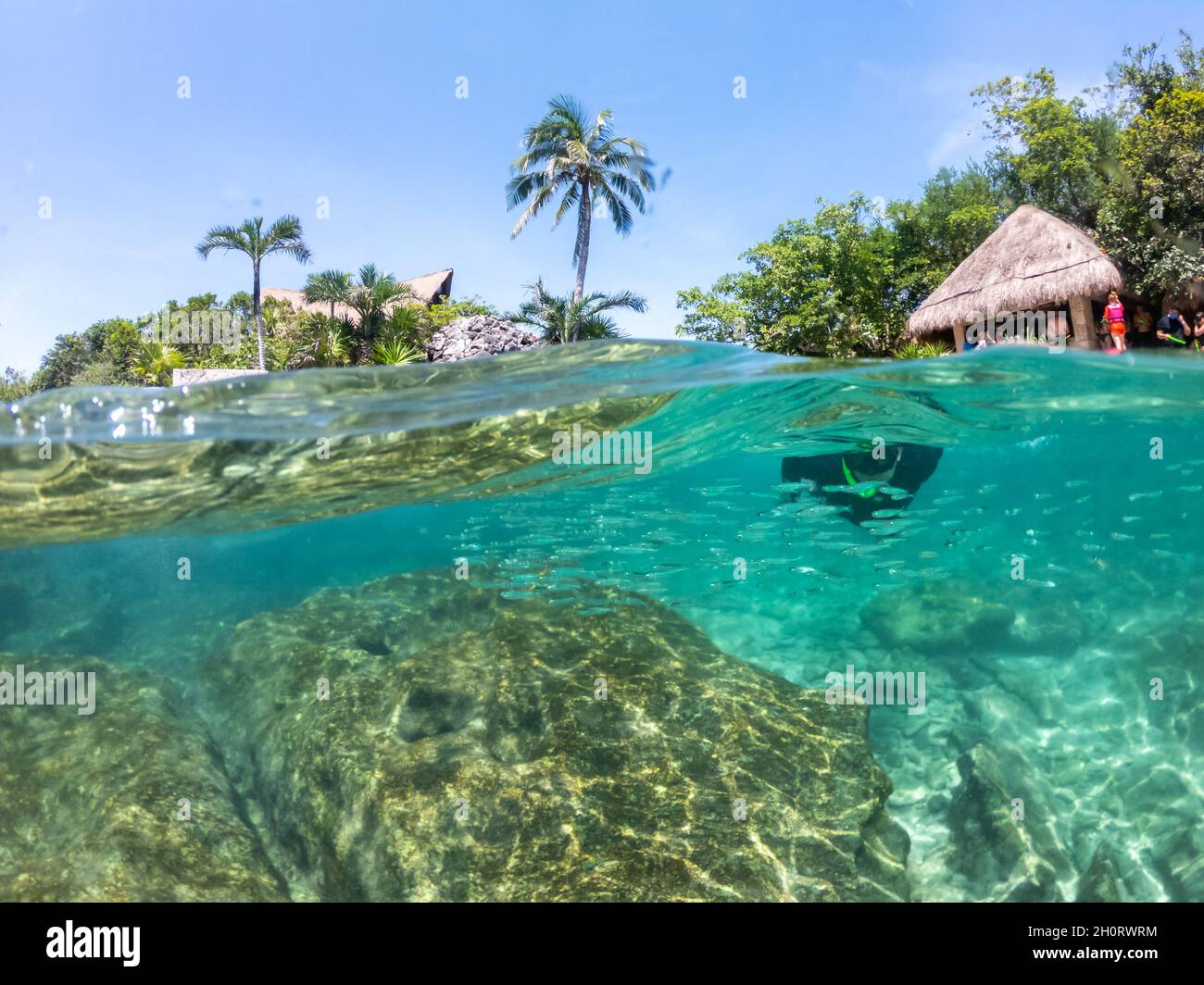 Cancun, Mexico September 13, 2021 Split underwater view in