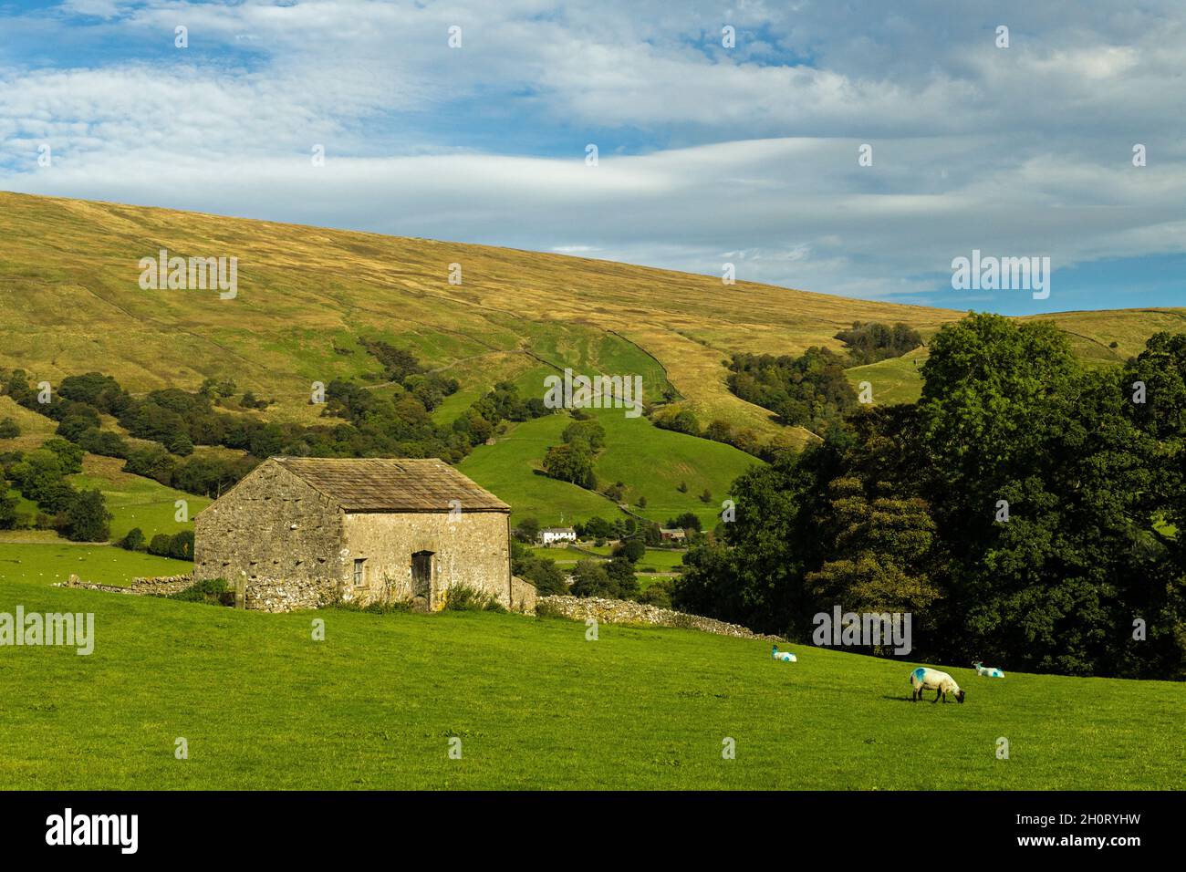 A Dales Barn in Deepdale in Cumbria in October in the Western Yorkshire Dales Stock Photo