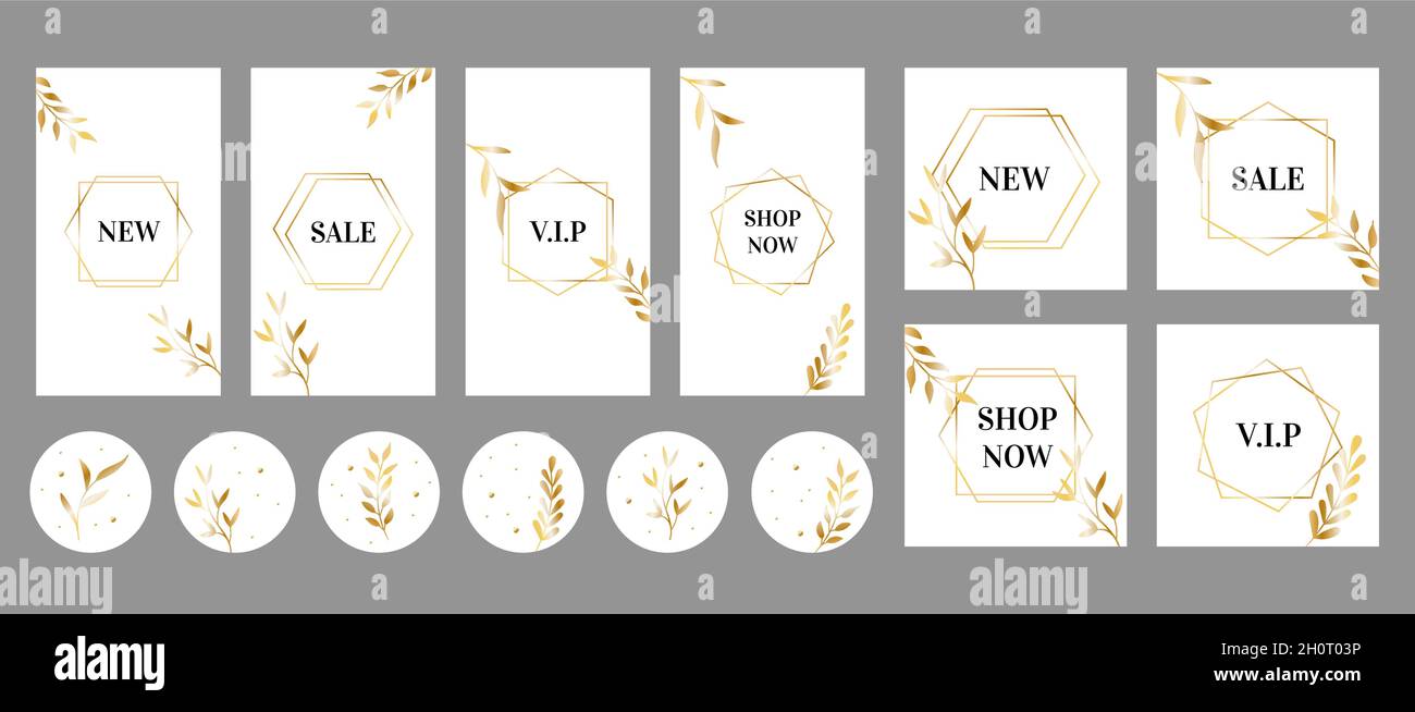 Instagram stories, posts, highlights luxury templates for social media. Golden leaves and frames with text Stock Vector