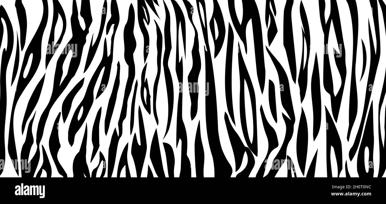 Vector Tiger black white stripe background. Animal skin banner Stock ...