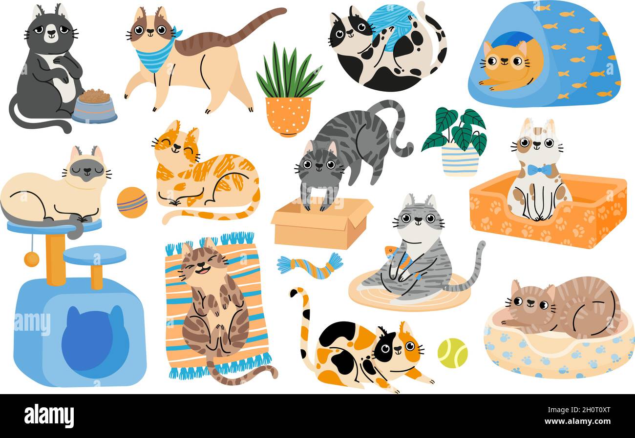 Cartoon cats playing with toys, relaxing and sleeping in bed. Hapy pet  kitten characters in funny poses. Cute tabby cat stickers vector set Stock  Vector Image & Art - Alamy