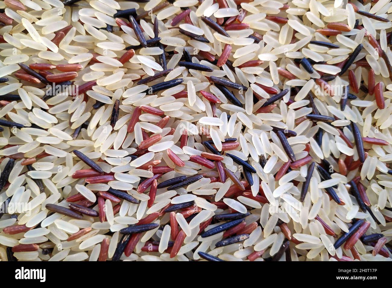 Close-up on a stack of three variaty of rices. Stock Photo