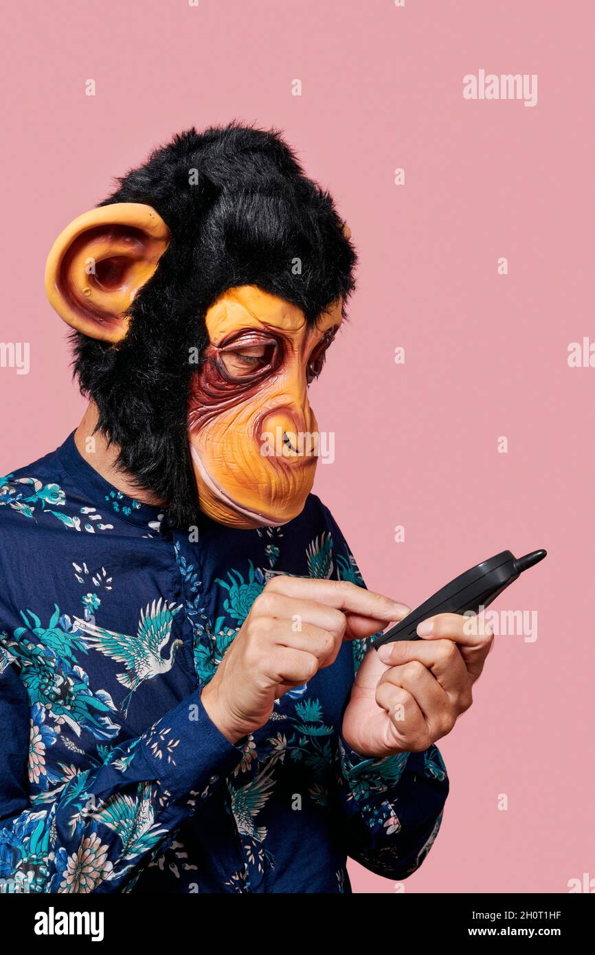 closeup of a young man wearing a monkey mask dialing a number in an old mobile phone, against a pink background Stock Photo
