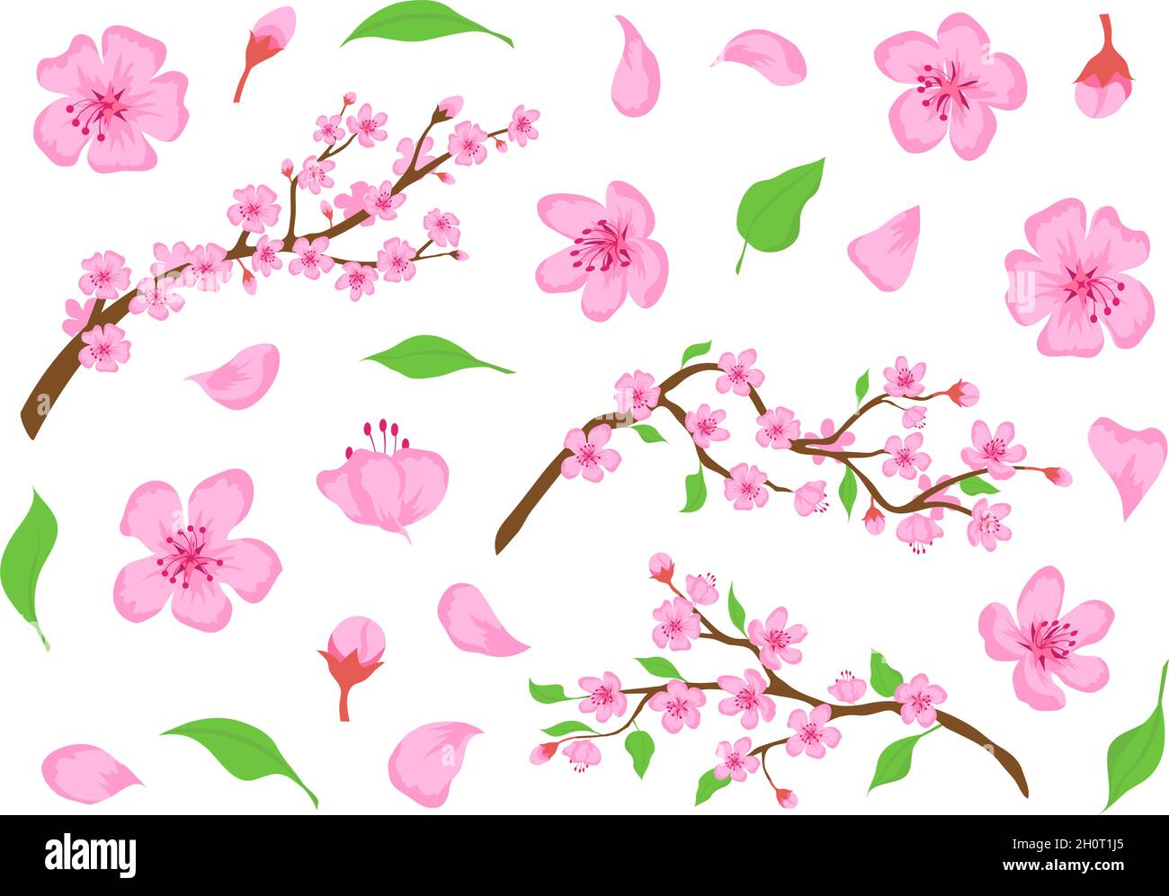 Blossom sakura pink flowers, buds, leaves and tree branches. Spring japanese cherry floral elements. Apple or peach bloom flower vector set Stock Vector