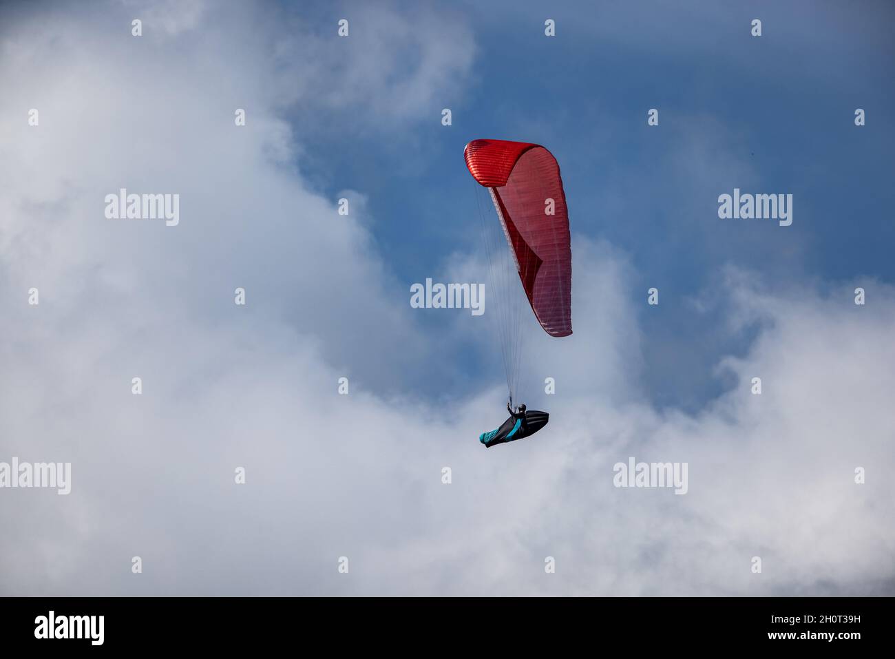 Paraglider is flying in the blue sky against the background of white clouds Stock Photo