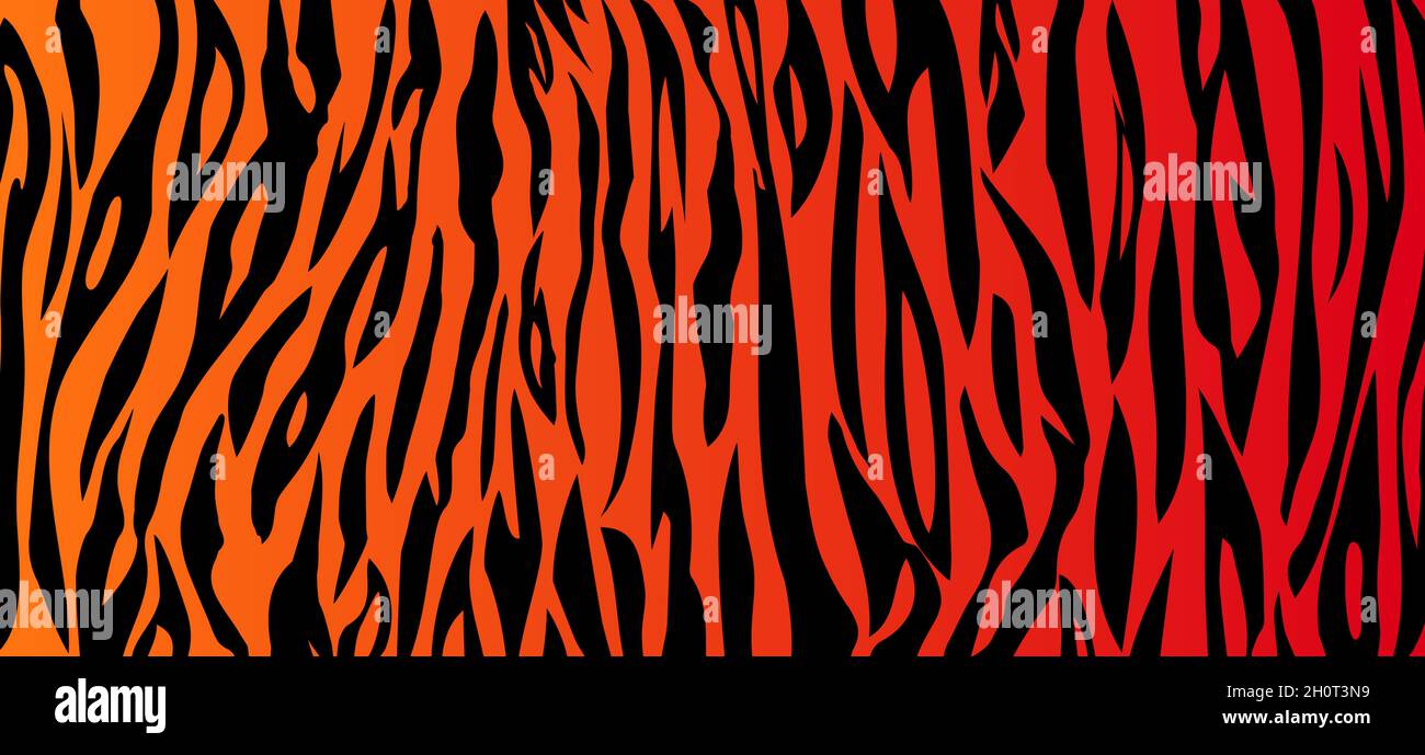 Vector Tiger orange black stripe background. Animal skin Stock Vector ...