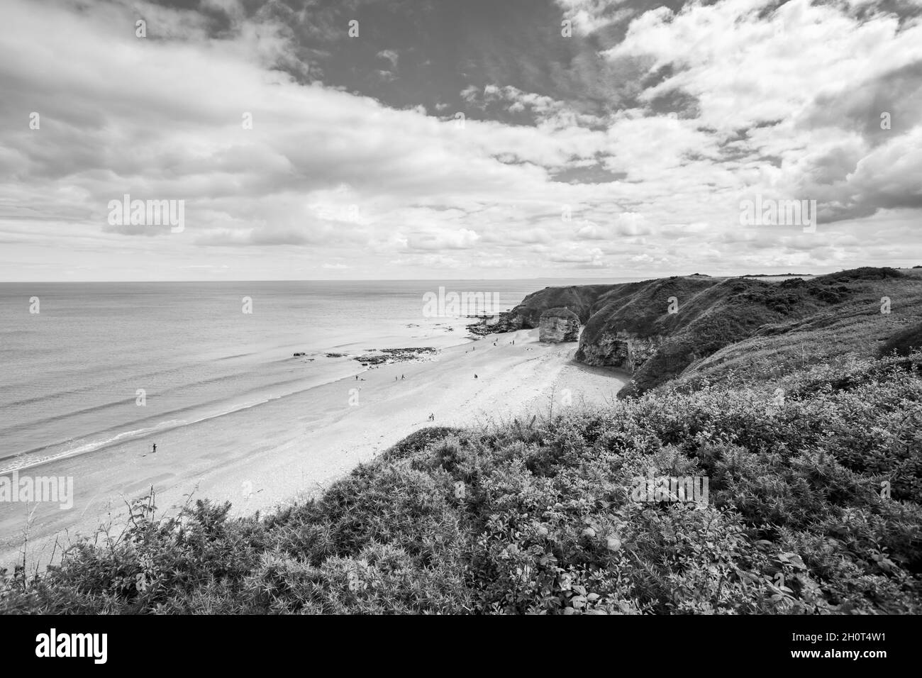 County Durham UK 26th July 2020 Durham Heritage Coast in black and