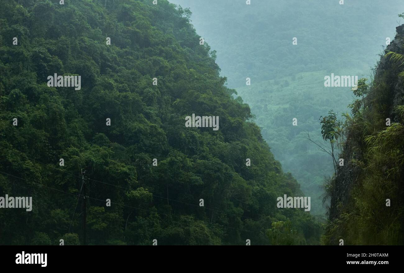 Beautiful green mountain landscape with dense trees Stock Photo - Alamy