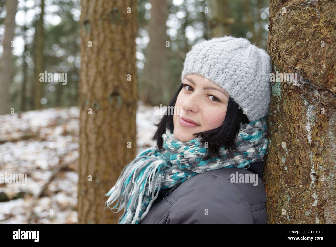 Covering young trees in winter hi-res stock photography and images - Alamy