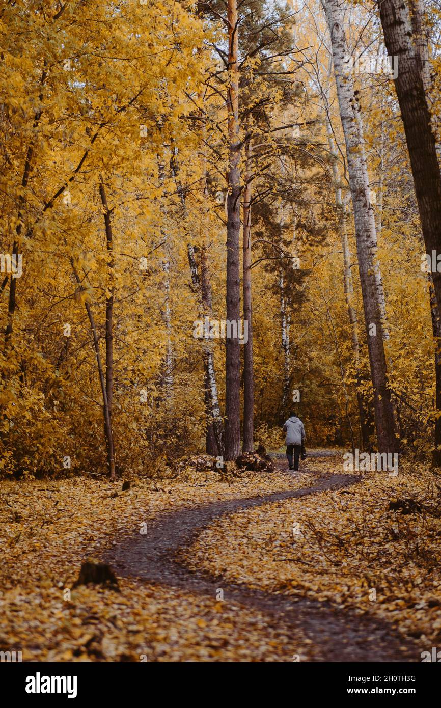 An elderly man walks alone in an autumn park along a winding path Stock Photo