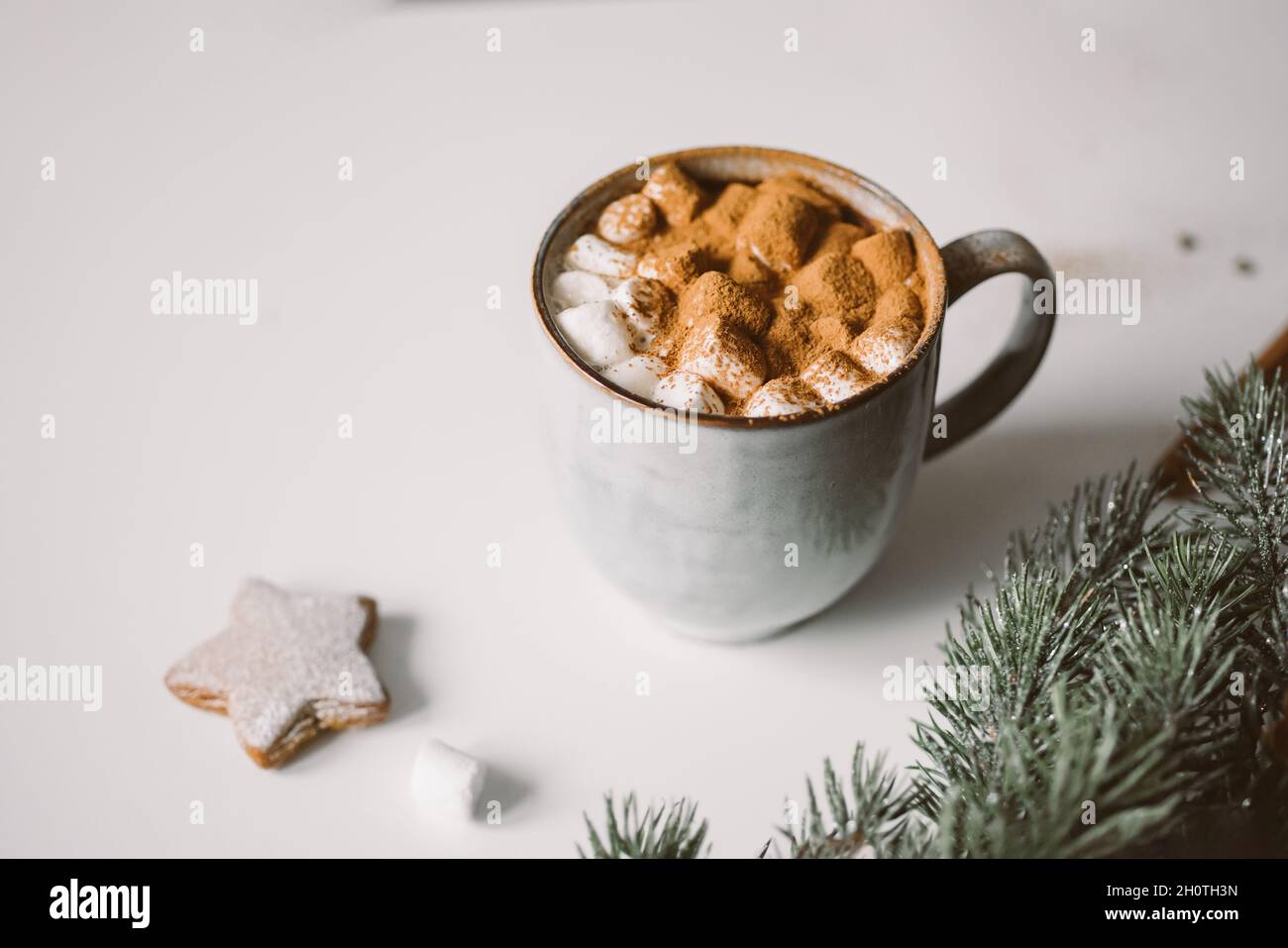 Cozy cup with hot cocoa, marshmallows and gingerbread Stock Photo