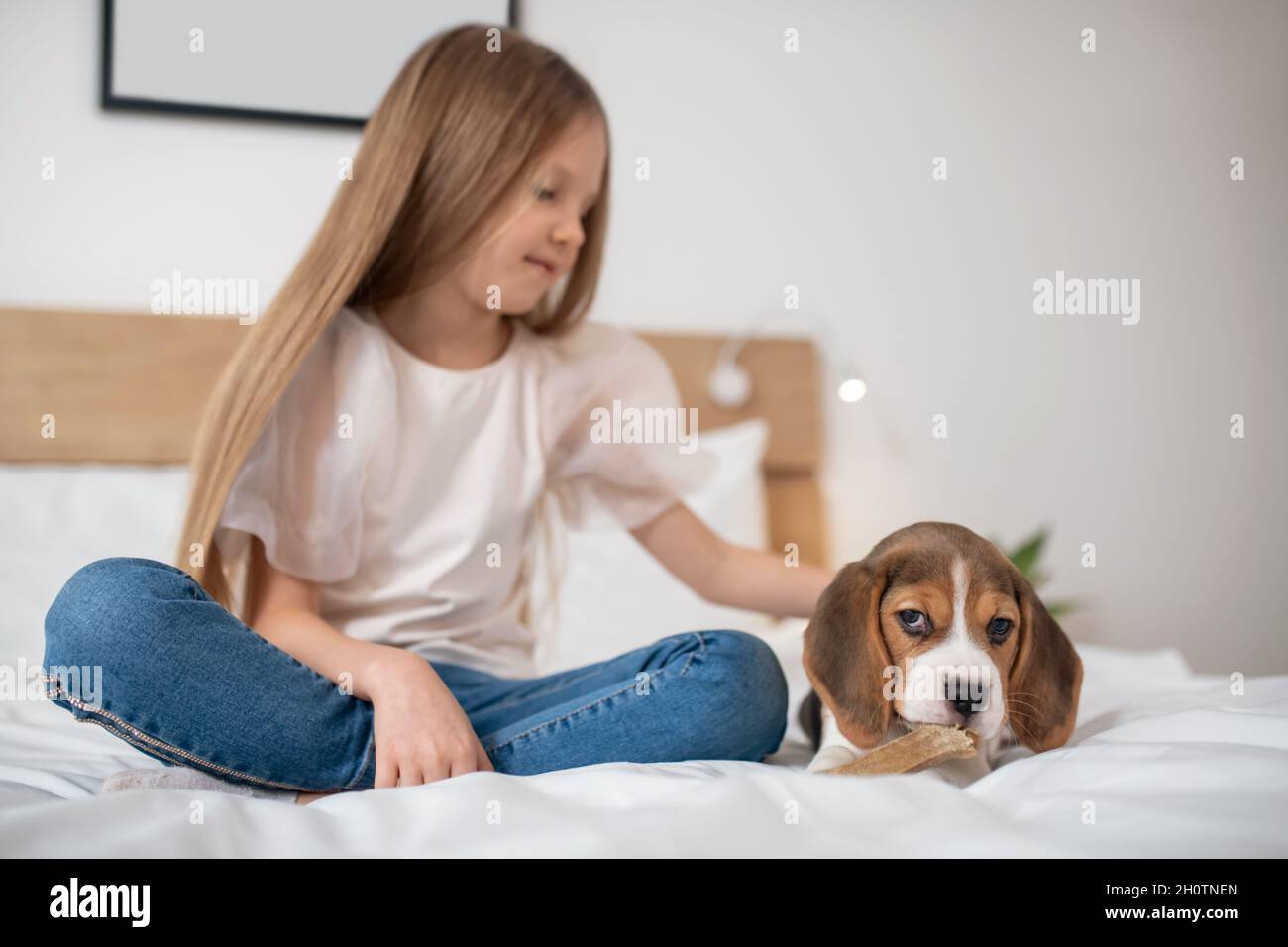 Sweet girl sitting on bed and playing with her puppy Stock Photo - Alamy