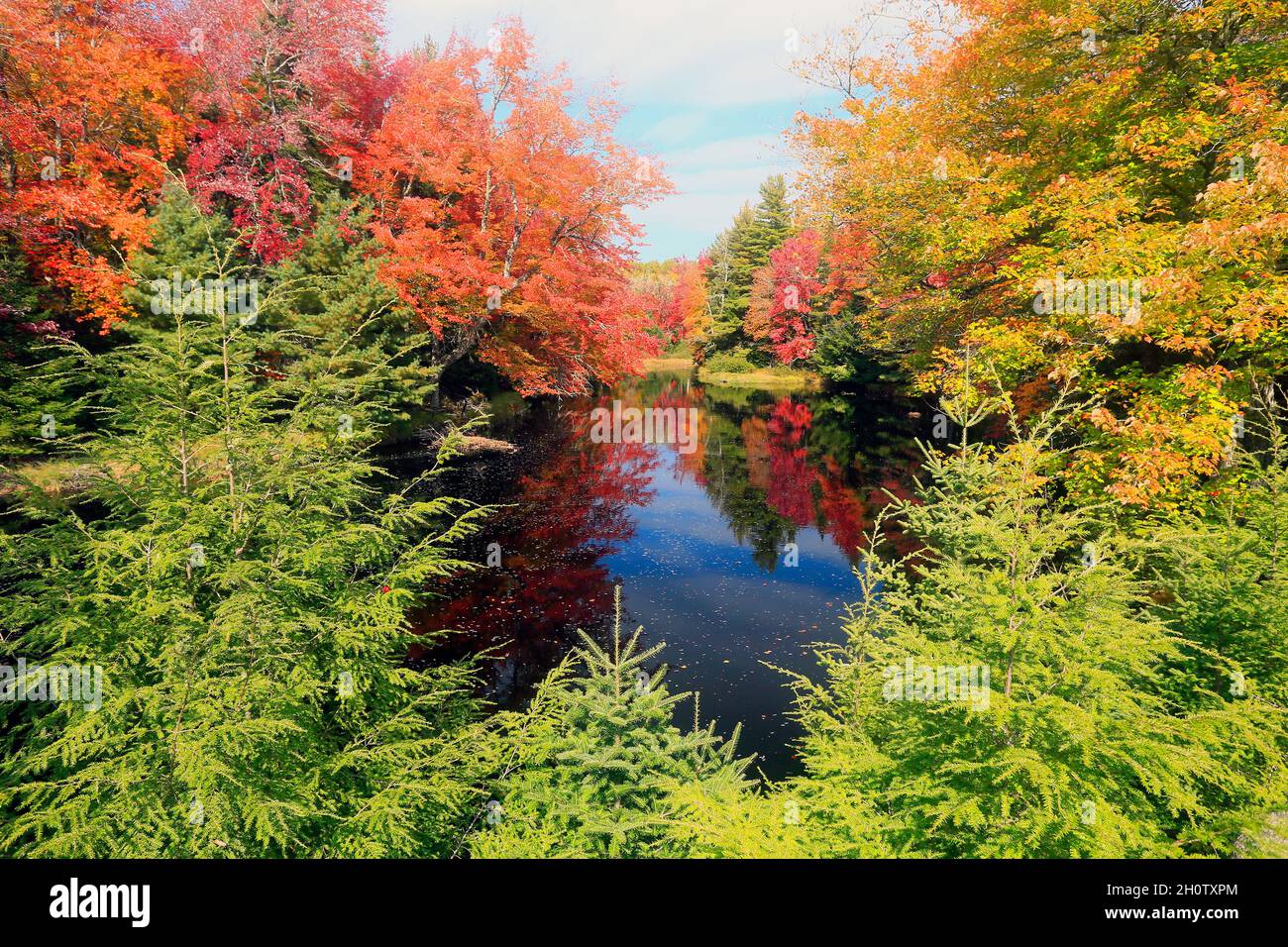 Autumn color, Mersey River, Kejimkujik National Park, Nova Scotia, Canada Stock Photo