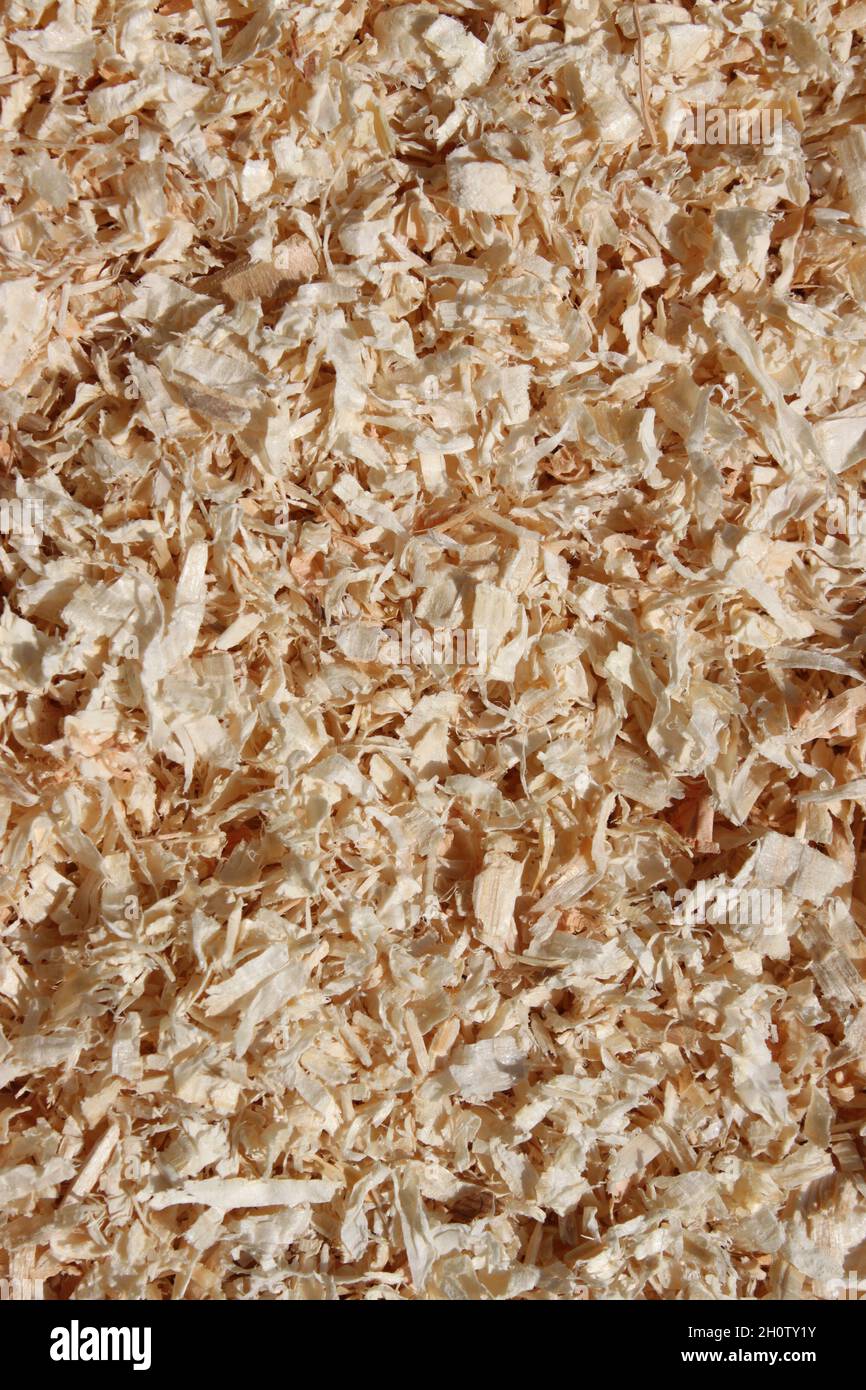 light brown sawdust as bedding Stock Photo Alamy