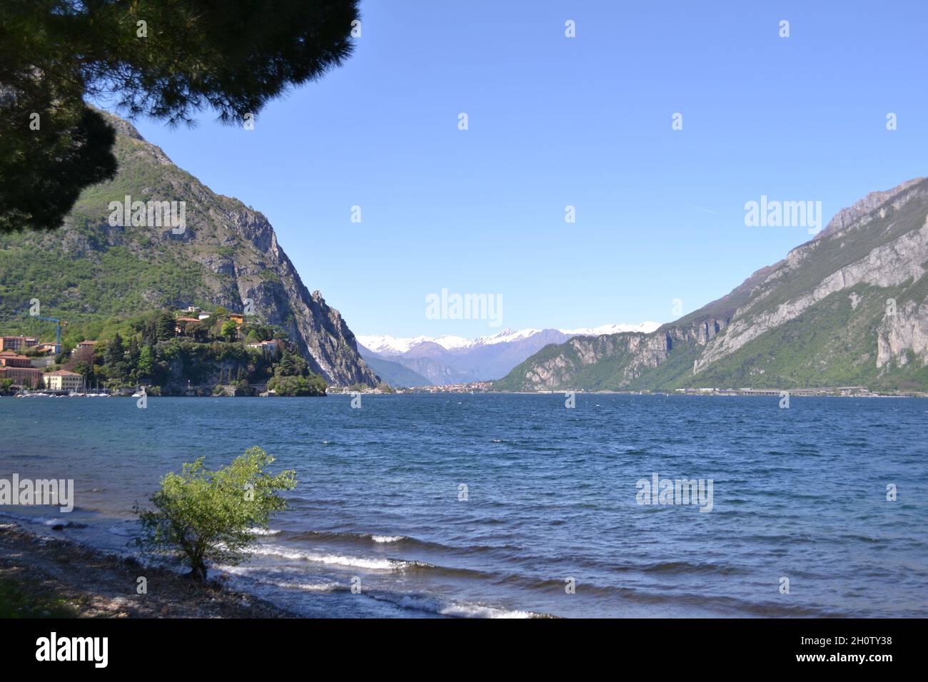 Beautiful Windy Day Lake Como Landscape in Lecco in Spring With Snowy Peaks, Mountain Range, Olive Tree and Rippling Blue Water on Sunny Day Stock Photo