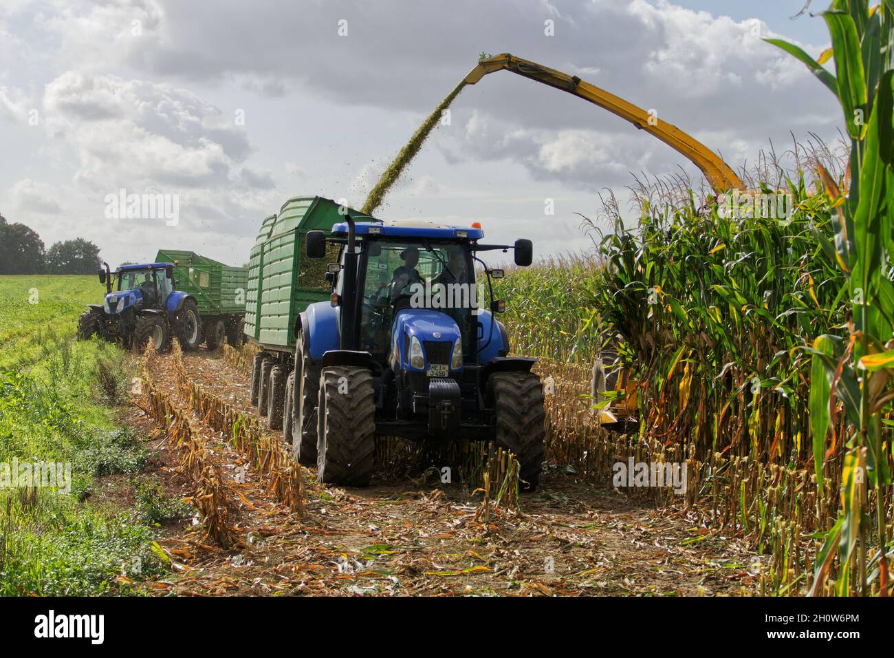 T6 New Holland Stock Photo