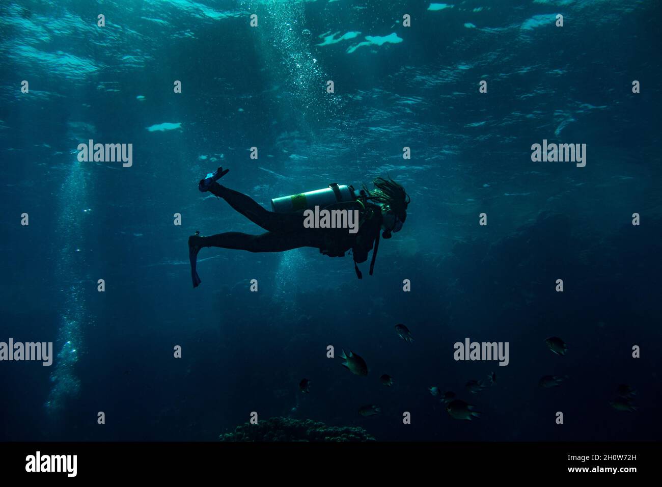 Woman scuba diver swimming in deep blue Stock Photo - Alamy