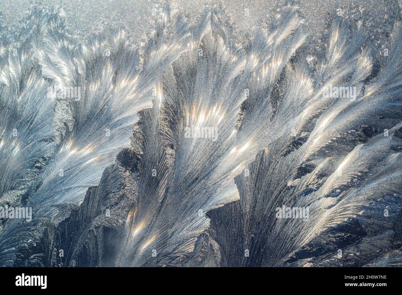 Pattern of frost like a plant on window glass in winter Stock Photo - Alamy