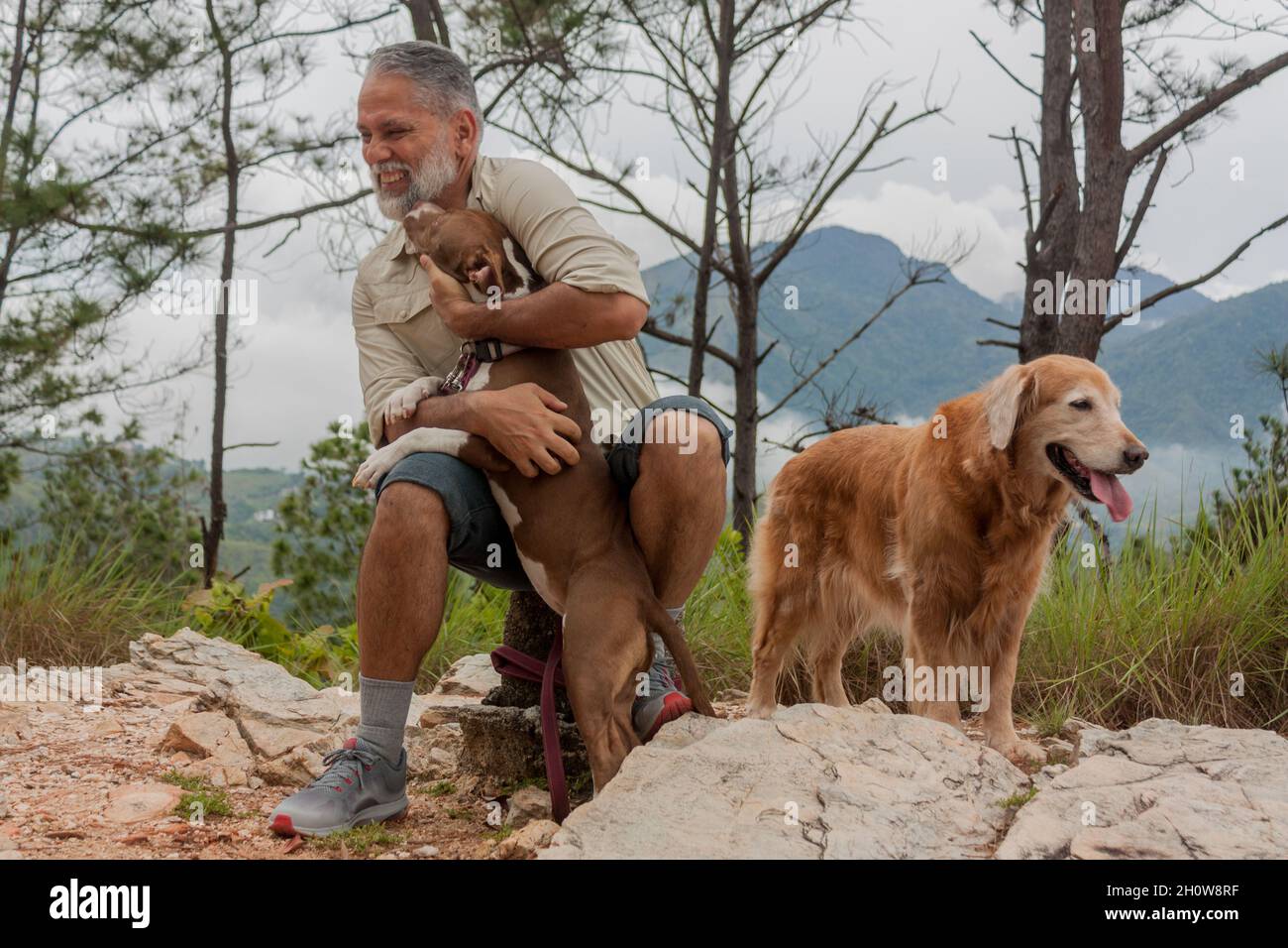 Walk in the mountains with dogs Stock Photo